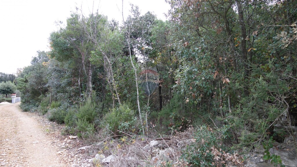 Image 5581146 - 4