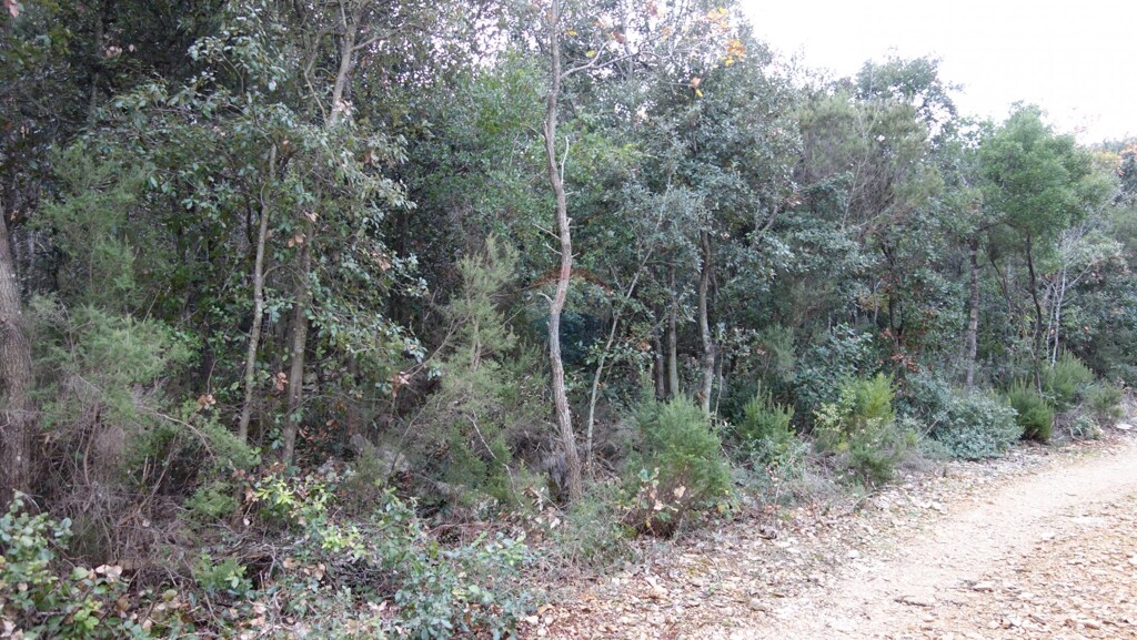 Image 5581147 - 2
