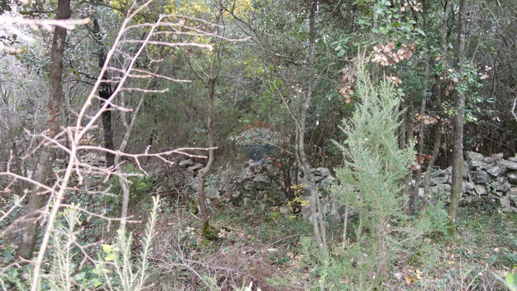 Image 5581147 - 3