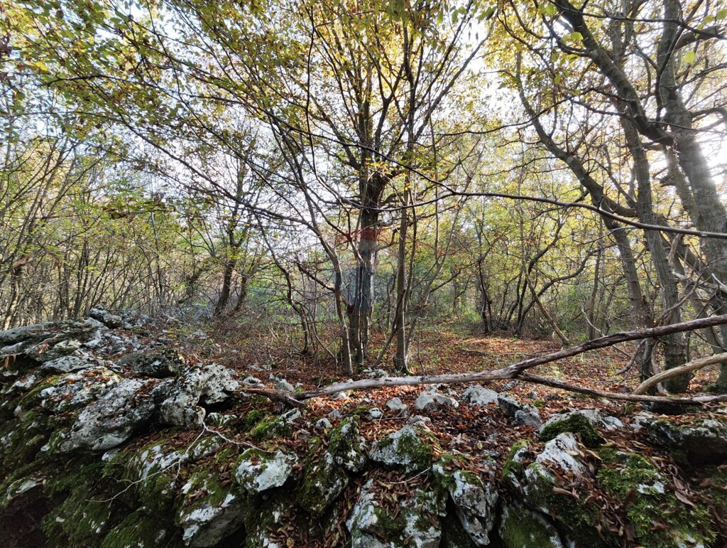Image 5581152 - 1