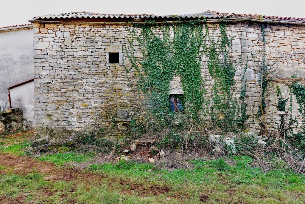 Image 5581729 - 5