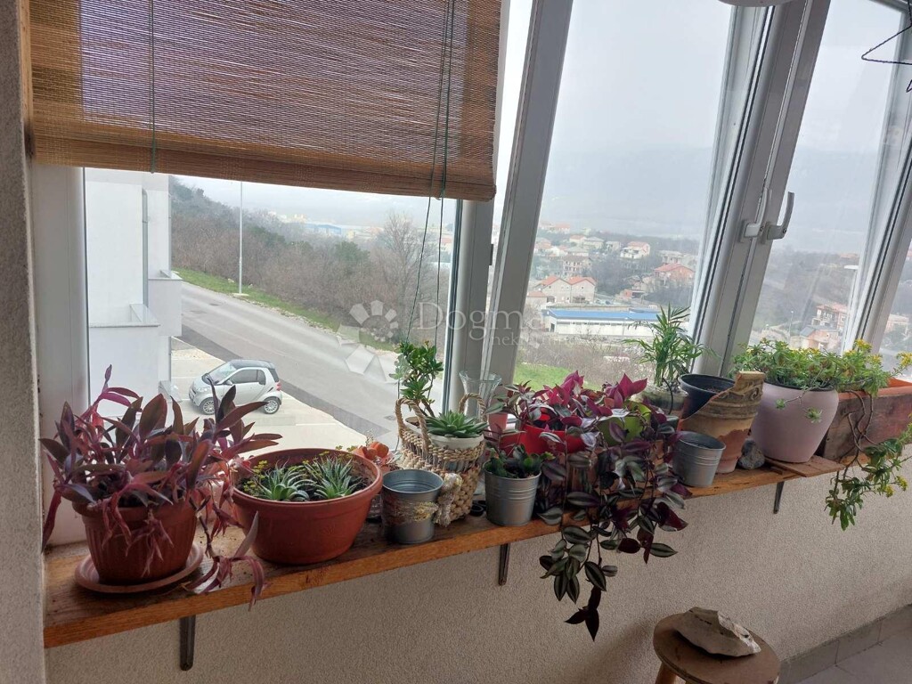 Image 5582217 - 16