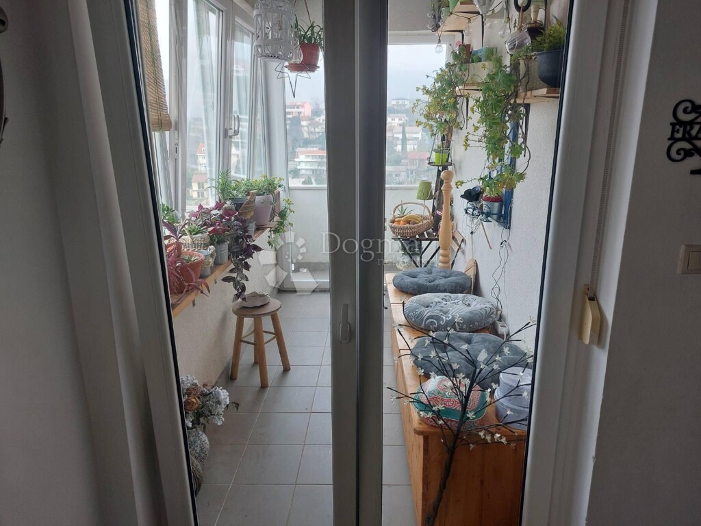 Image 5582217 - 13