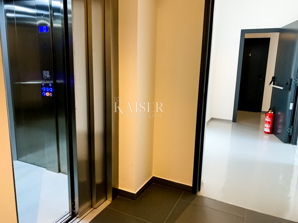 Image 5584246 - 9