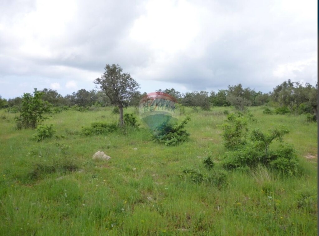 Image 5584309 - 1