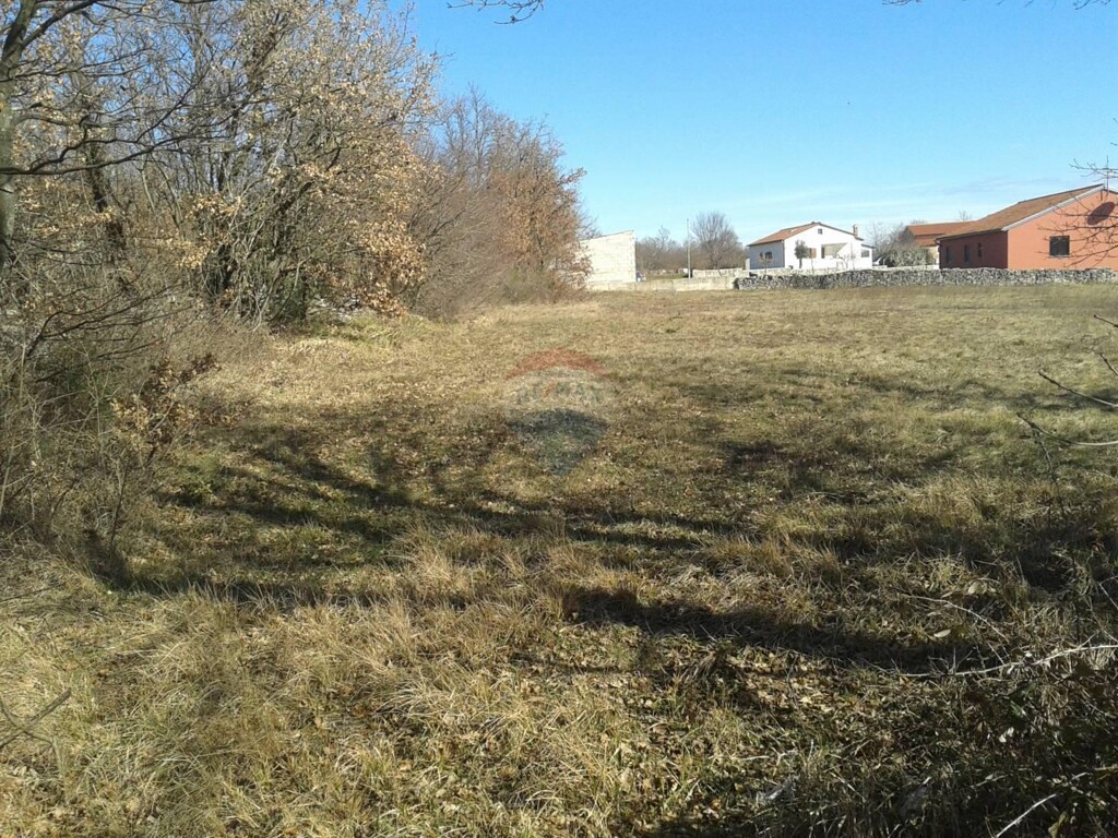 Image 5584319 - 1