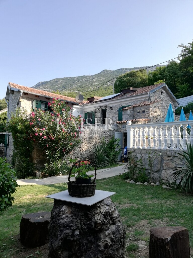 Image 5585091 - 1