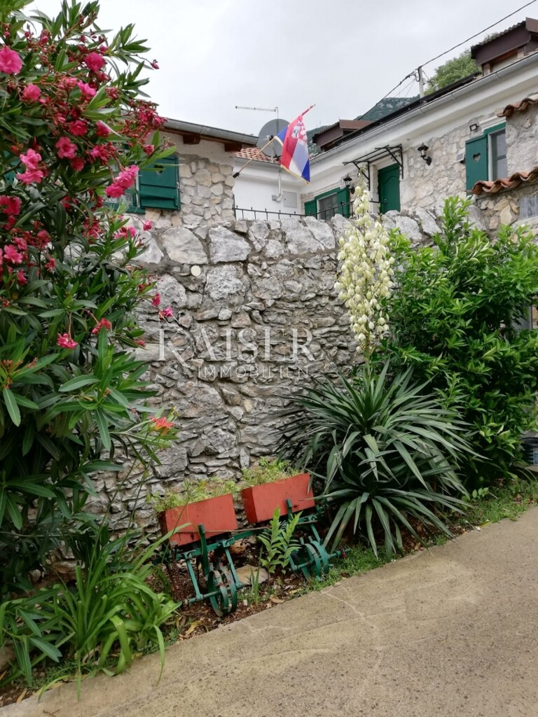 Image 5585091 - 8