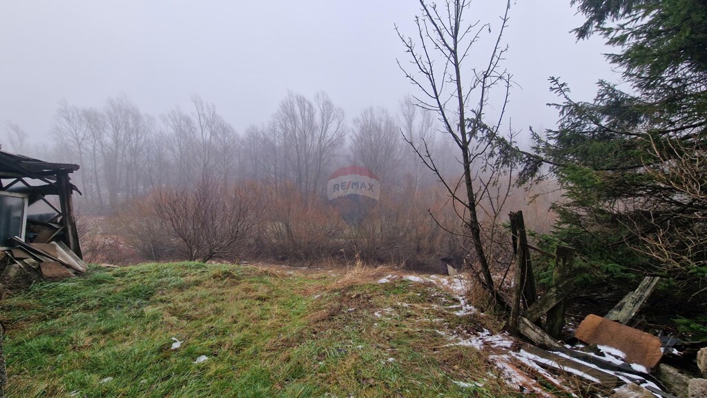 Image 5585149 - 6