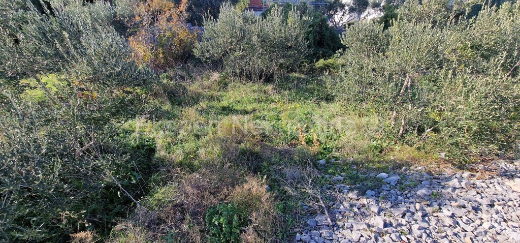 Image 5585808 - 3