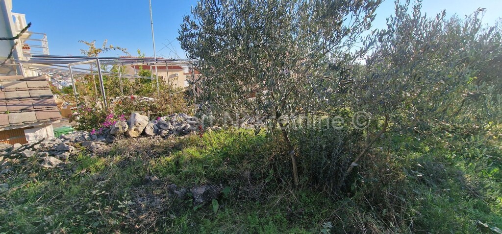 Image 5585808 - 9