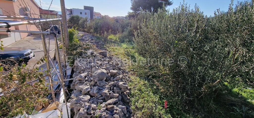 Image 5585808 - 6