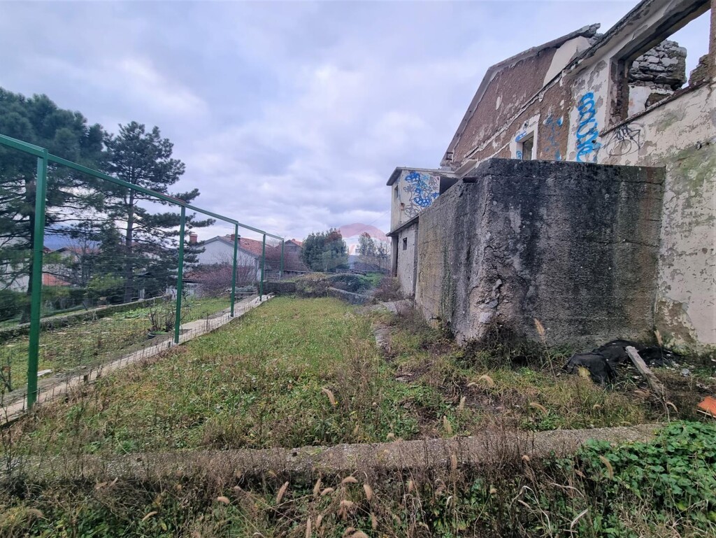 Image 5586000 - 1