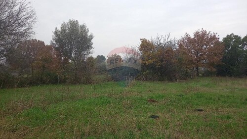Thumbnail 5586003 - 4