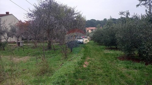 Thumbnail 5586003 - 2