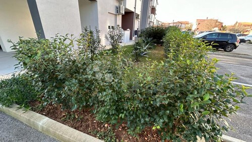 Thumbnail 5586727 - 21