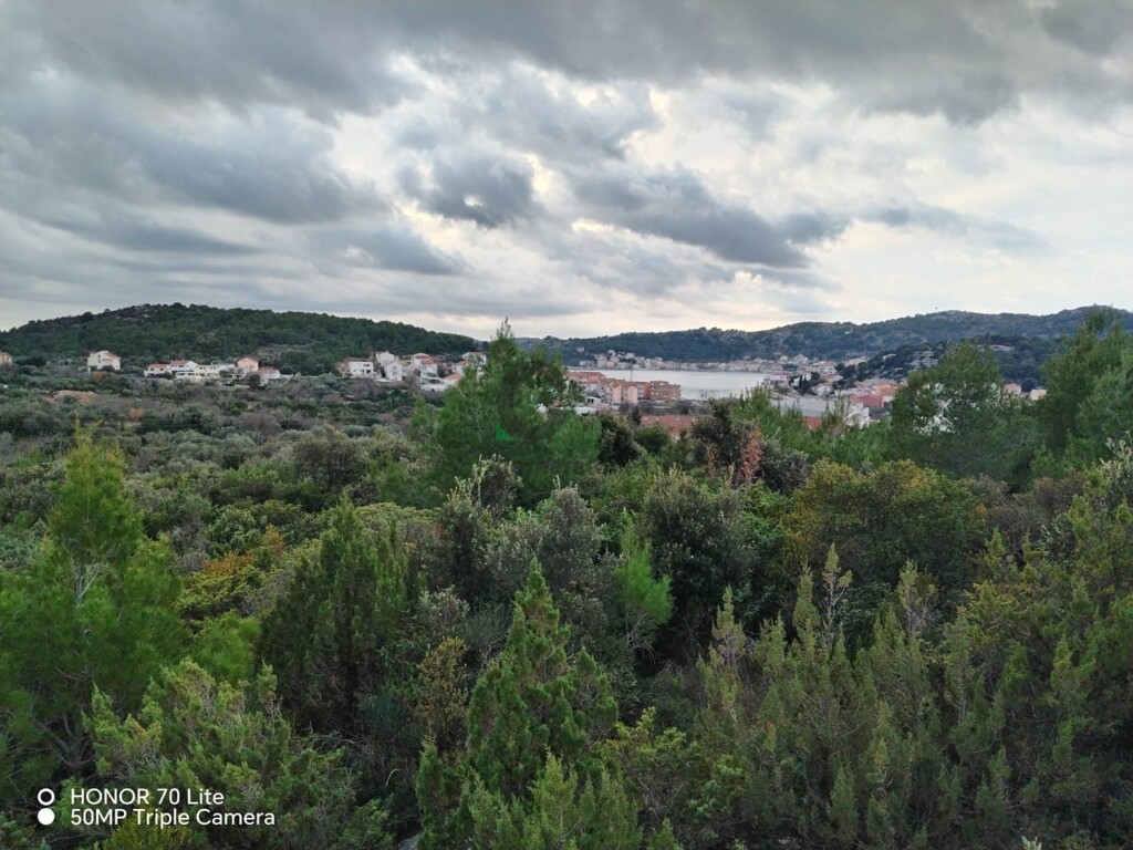 Image 5586802 - 1