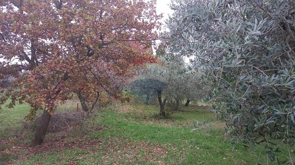 Image 5586869 - 5