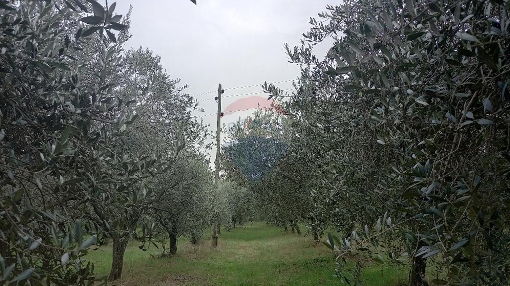 Image 5586869 - 6