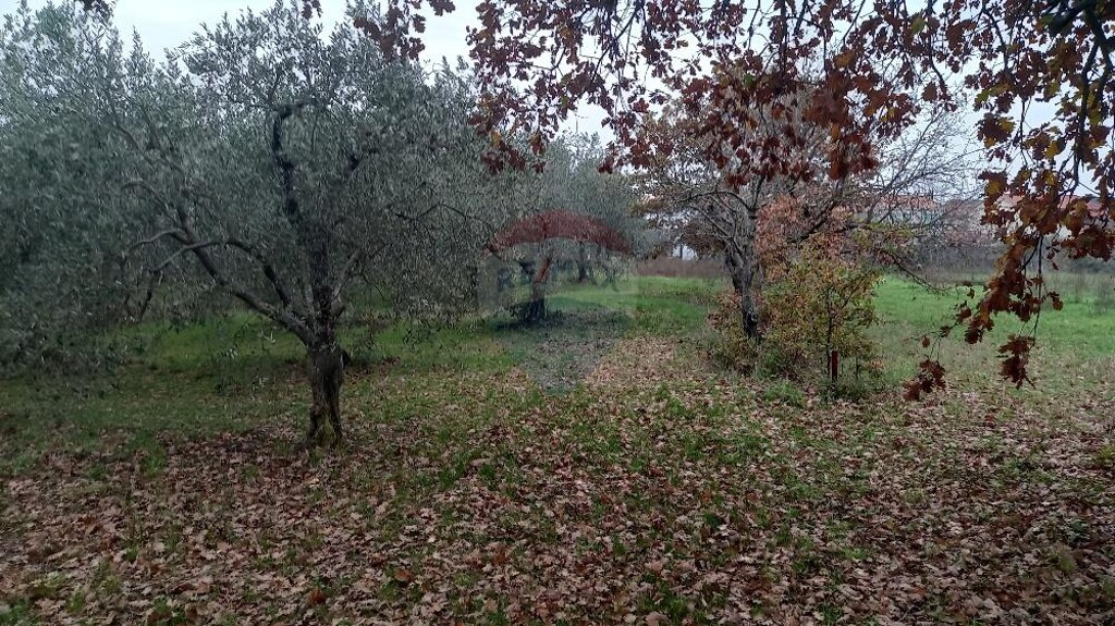 Image 5586869 - 2