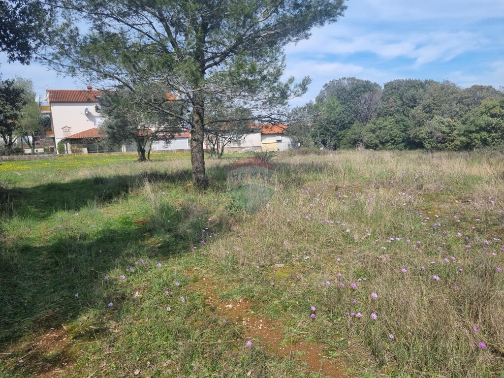 Image 5587414 - 4
