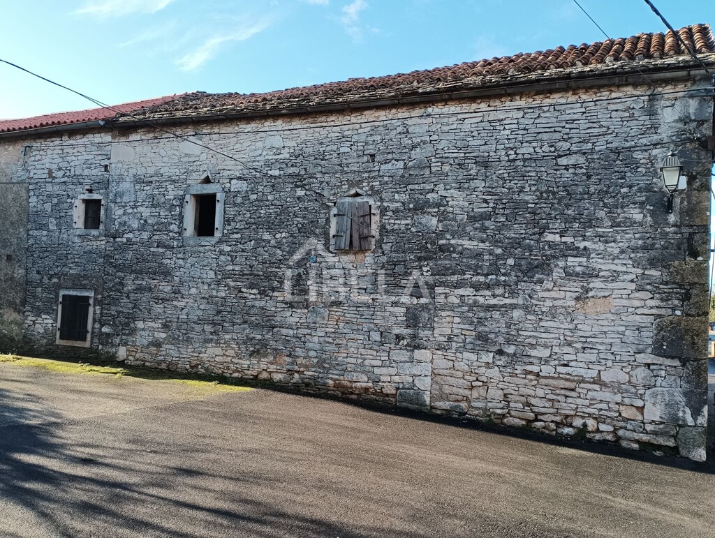 Image 5589618 - 3