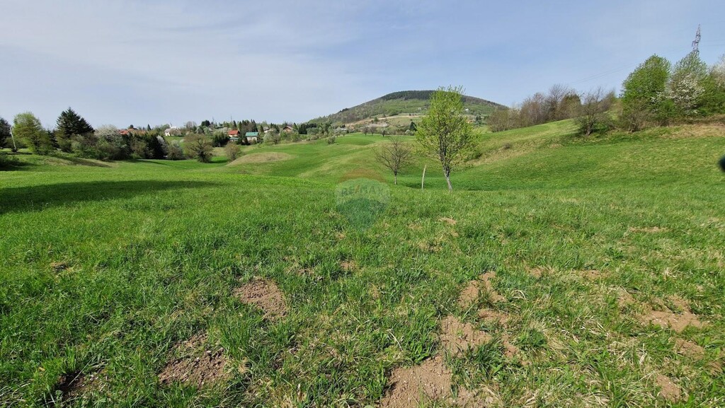 Image 5589741 - 3