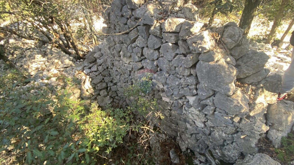 Image 5589747 - 15