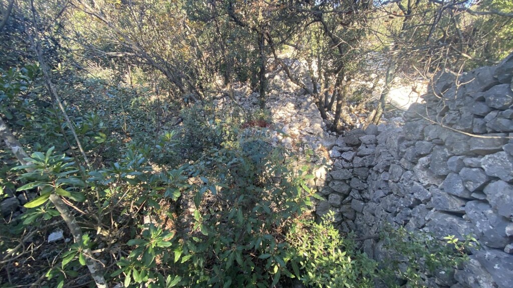 Image 5589747 - 13