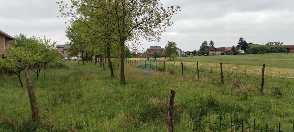 Image 5590476 - 1