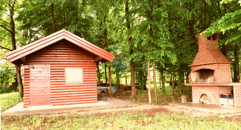 Image 5590479 - 1