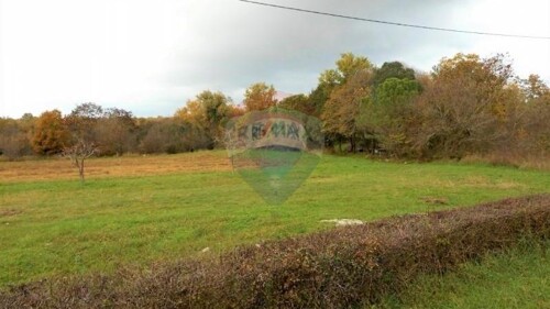 Thumbnail 5590493 - 1