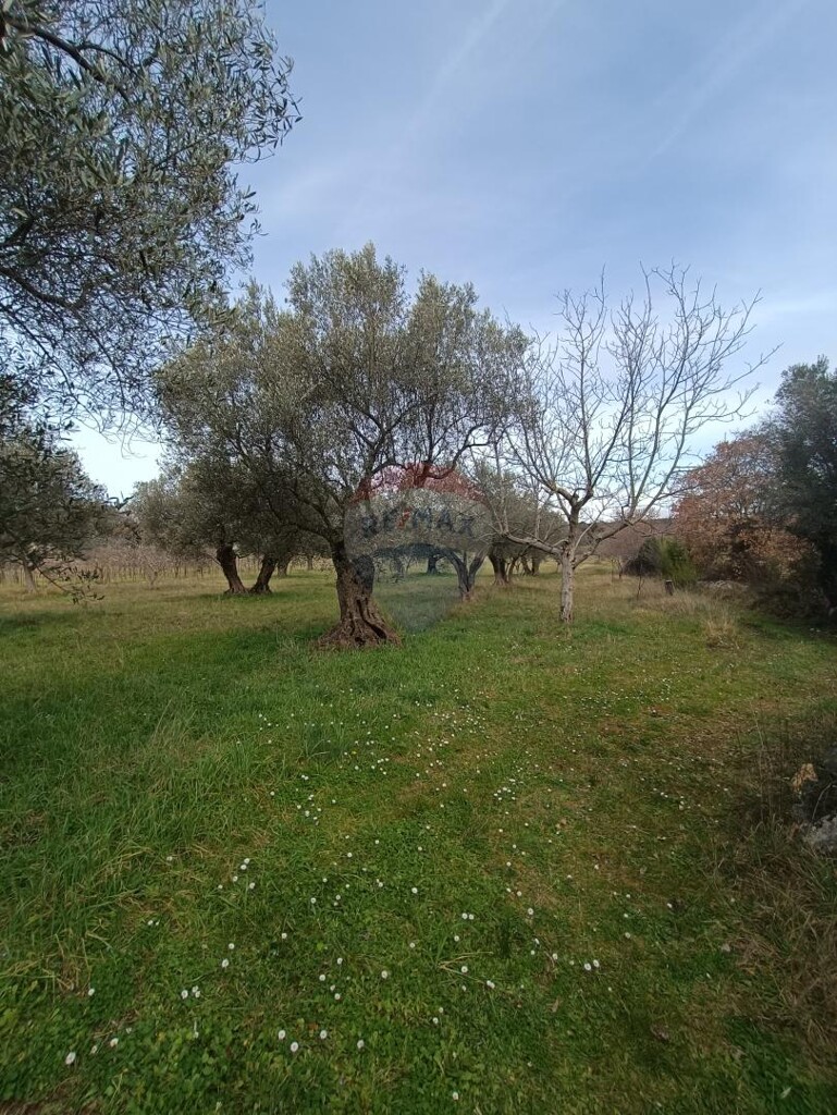 Image 5591326 - 6