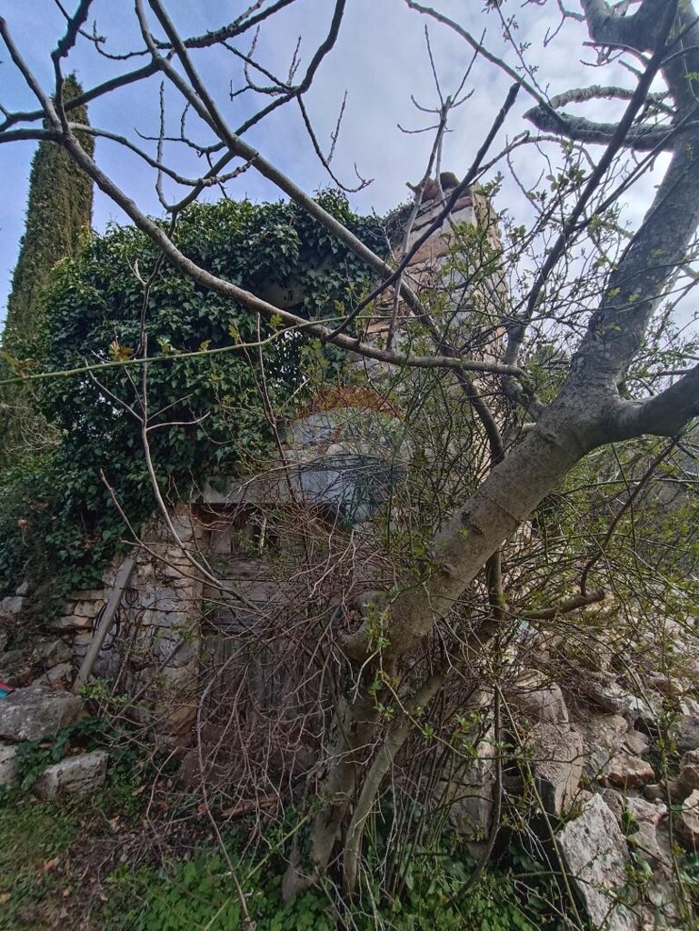 Image 5591326 - 2