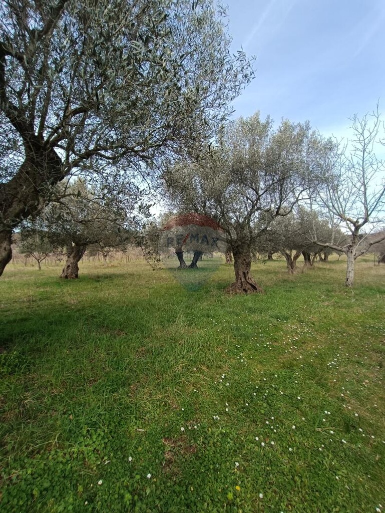 Image 5591326 - 4
