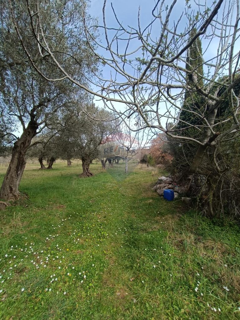 Image 5591326 - 5
