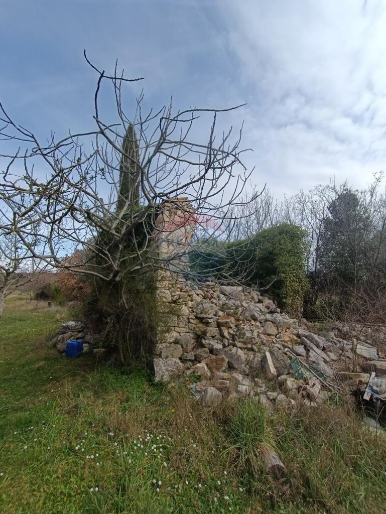 Image 5591326 - 3