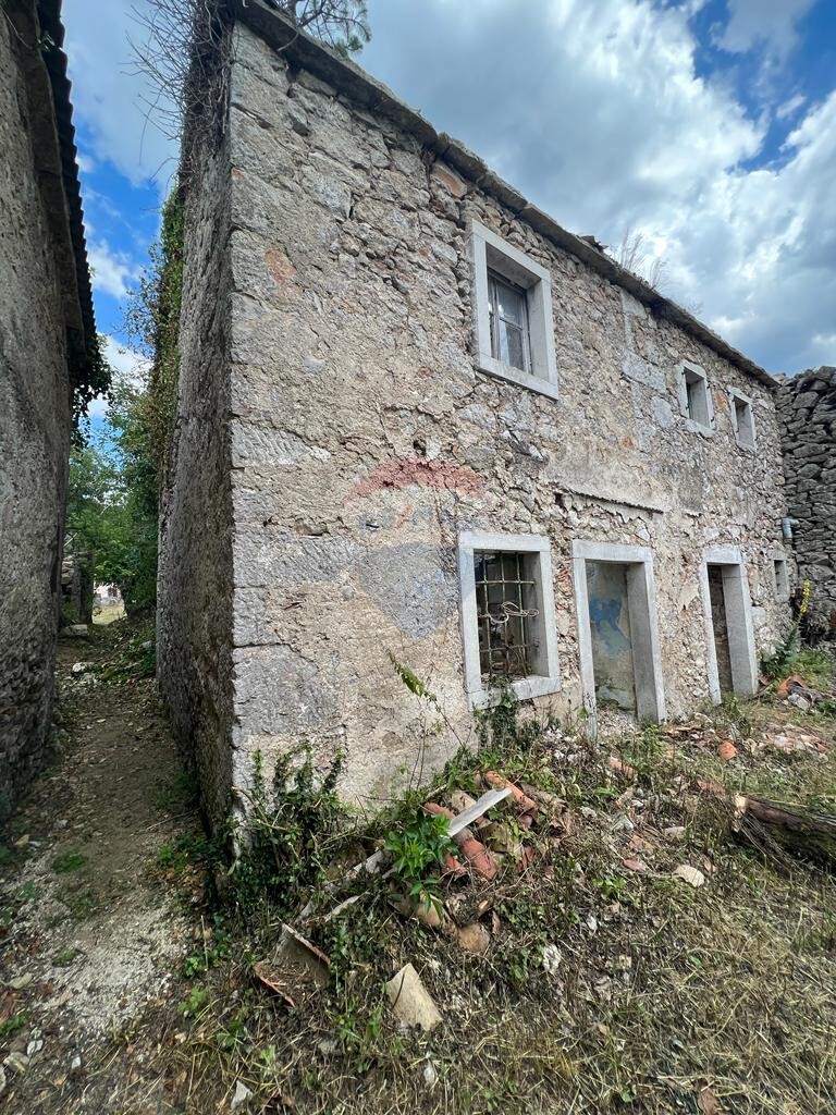 Image 5591328 - 4
