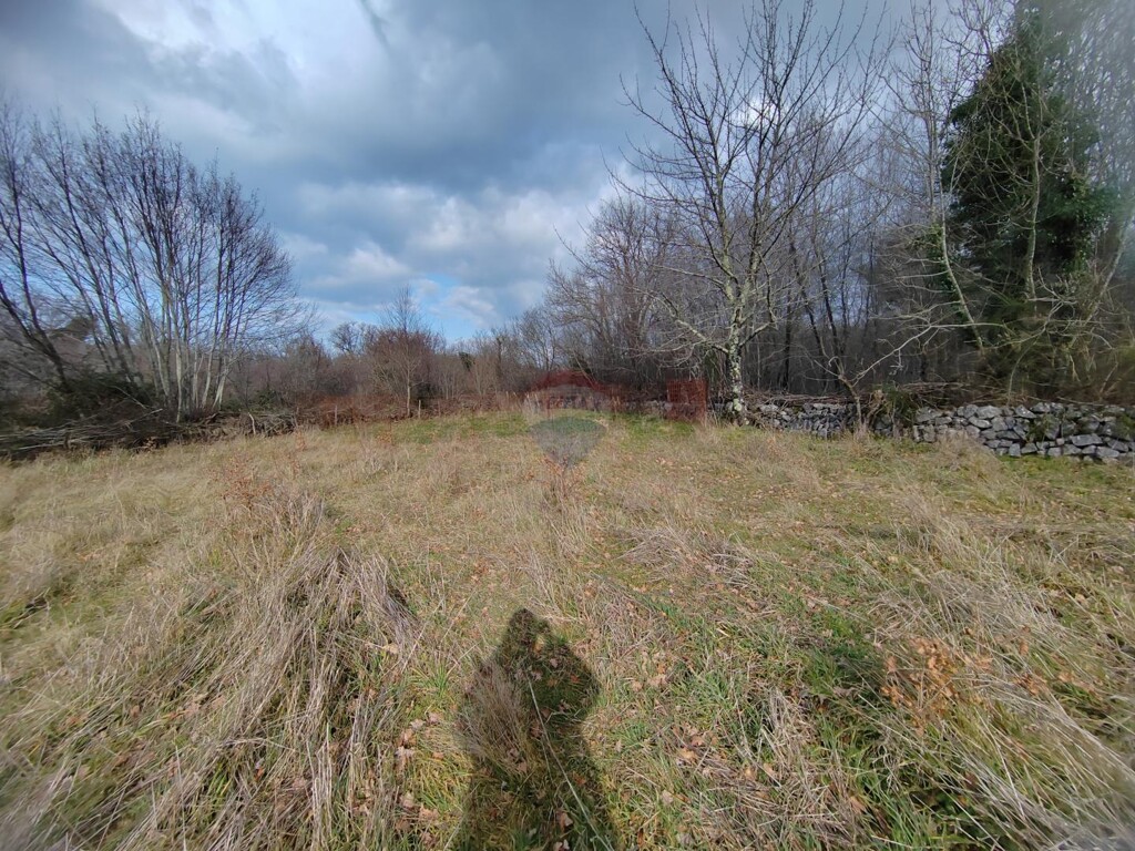 Image 5592341 - 4