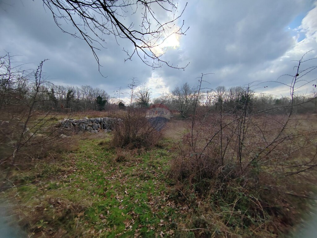 Image 5592341 - 5