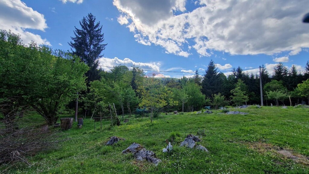 Image 5593860 - 2