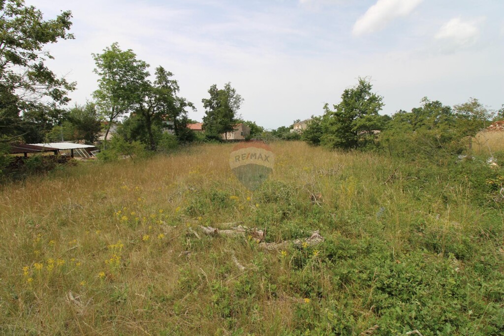 Image 5593886 - 4