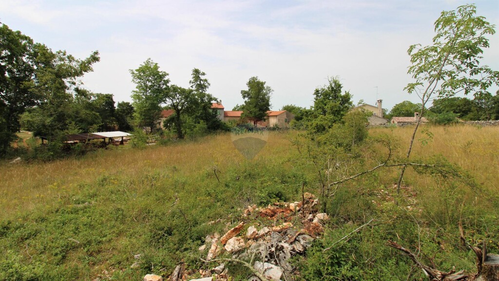 Image 5593886 - 6