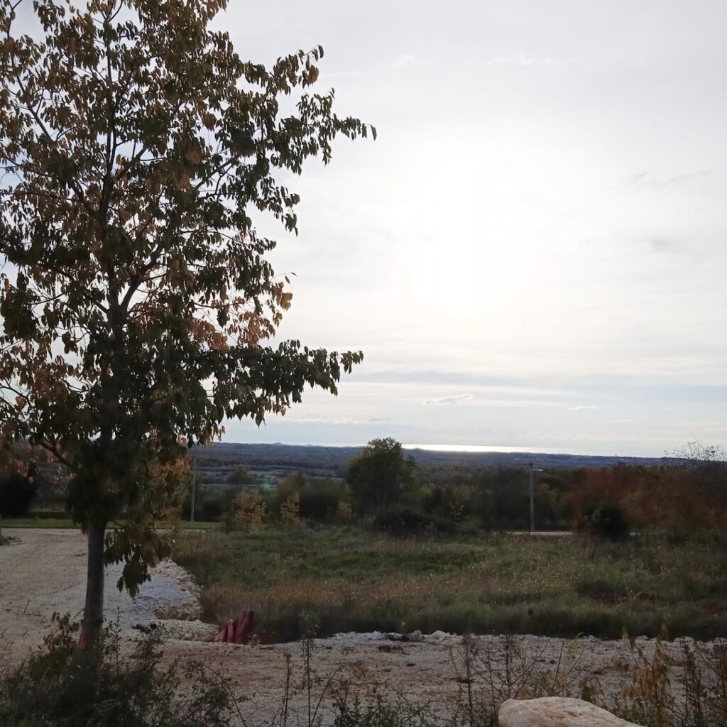 Image 5595233 - 1