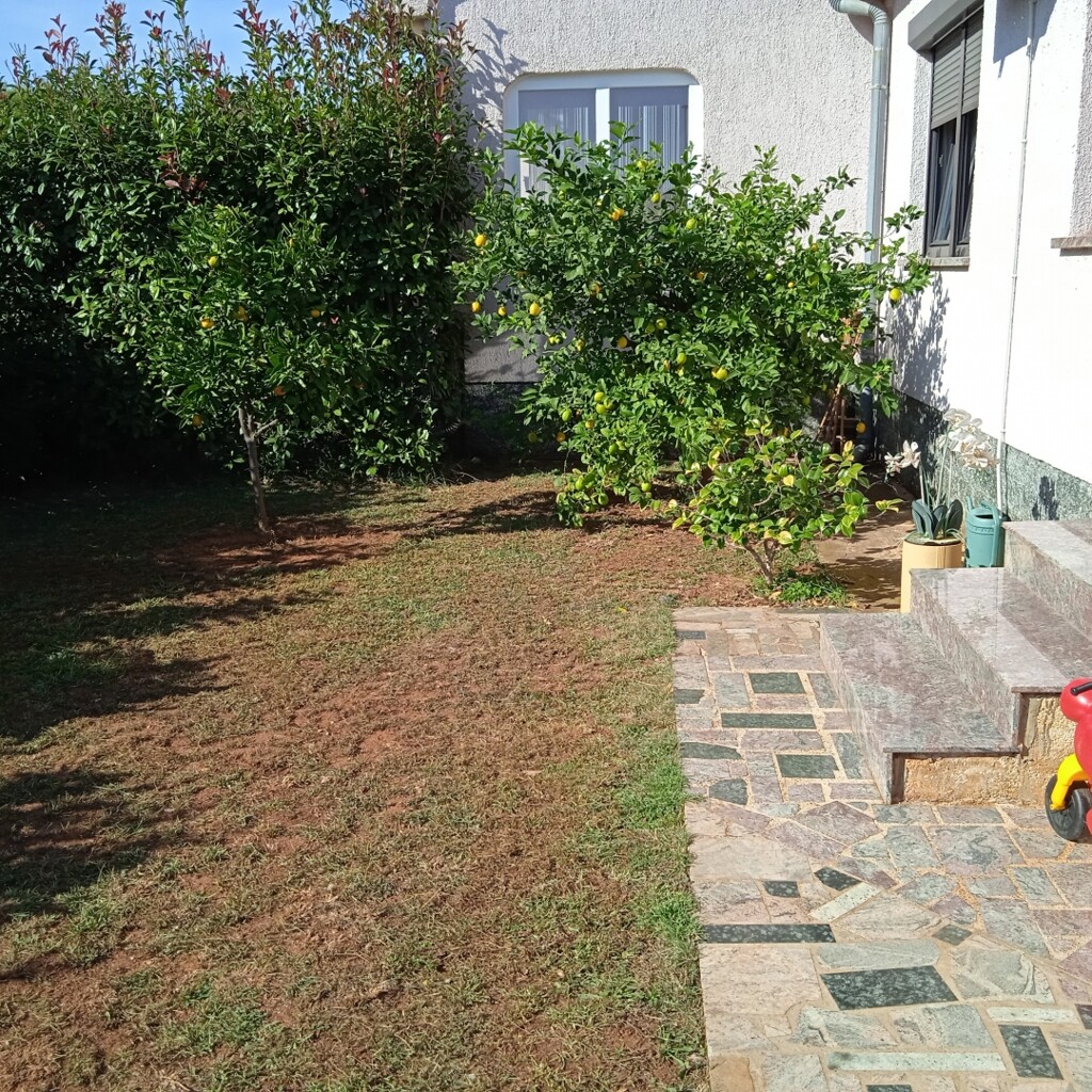 Image 5595303 - 8