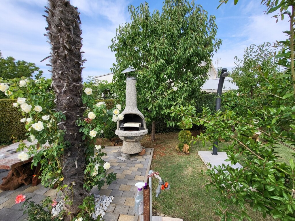 Image 5595317 - 2