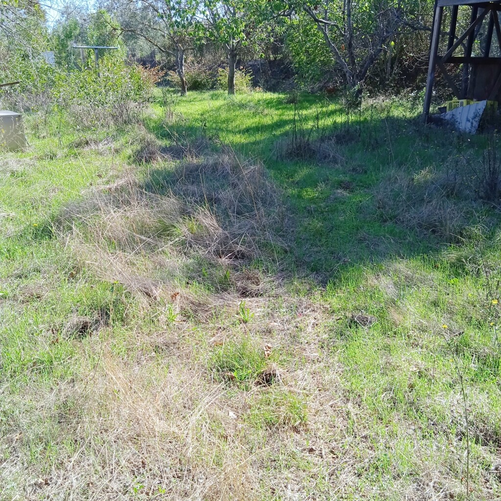 Image 5595327 - 5