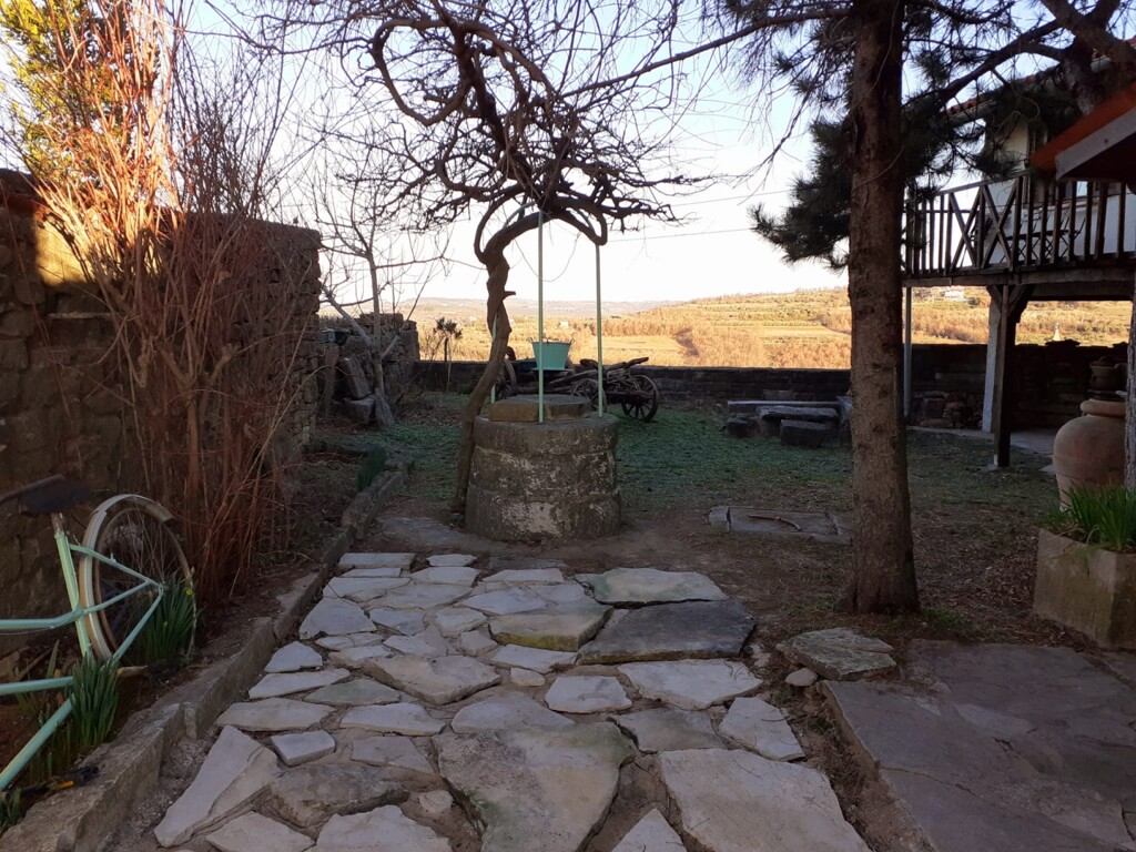 Image 5595353 - 7