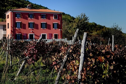 Turistički objekt sa uhodanim poslom, Motovun, Istra