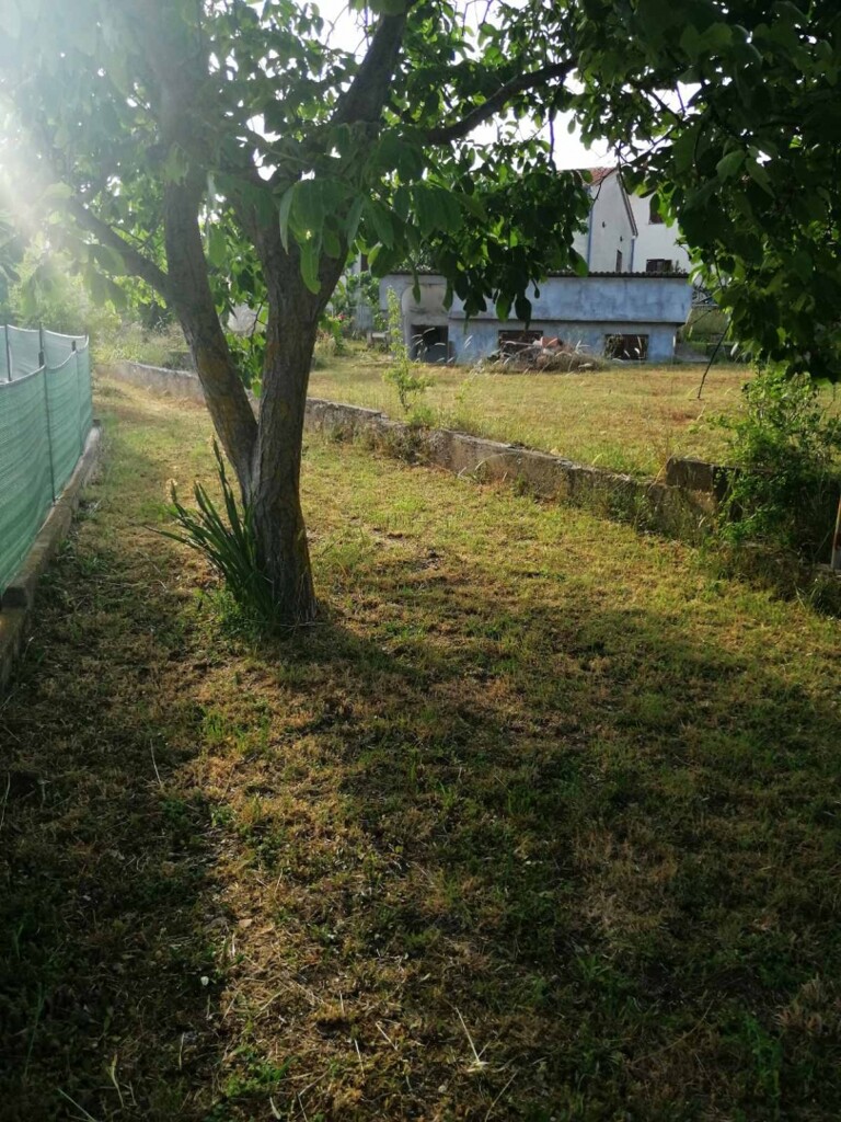 Image 5595514 - 12